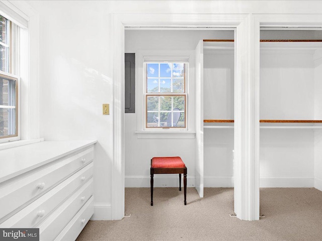 walk in closet with light colored carpet