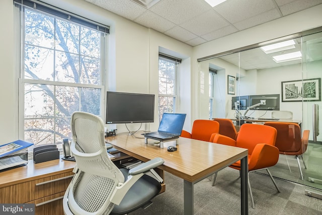 carpeted home office featuring plenty of natural light and a drop ceiling