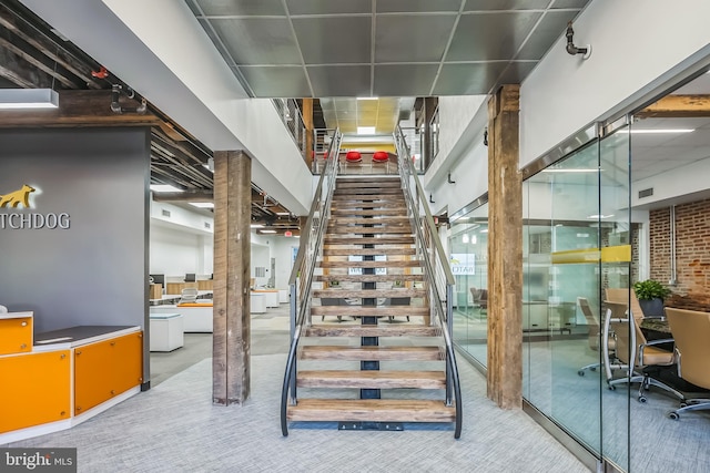 stairway with carpet and a paneled ceiling