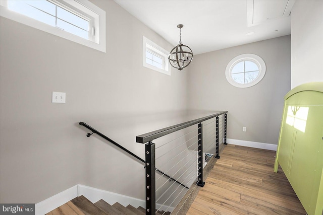 stairs featuring a chandelier, a healthy amount of sunlight, and wood-type flooring