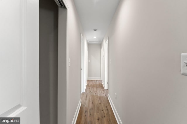 hallway featuring wood-type flooring