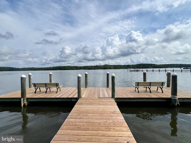 dock area featuring a water view