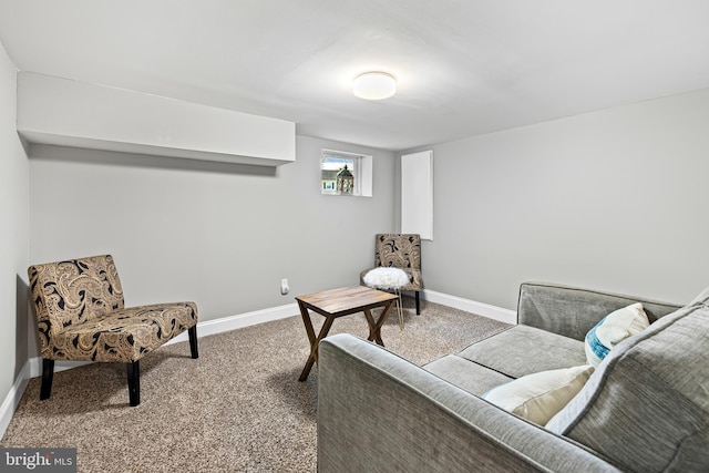 living area with carpet floors