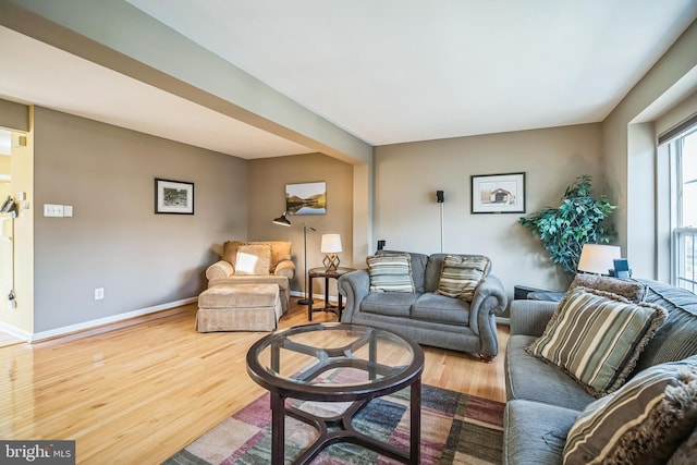 living room with wood-type flooring