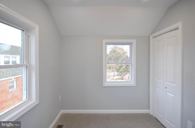 interior space featuring lofted ceiling