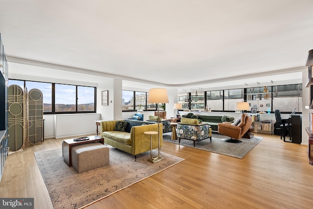 2510 Virginia Ave NW Unit 1104-N, Washington, DC 20037 - living room with light wood-style floors
