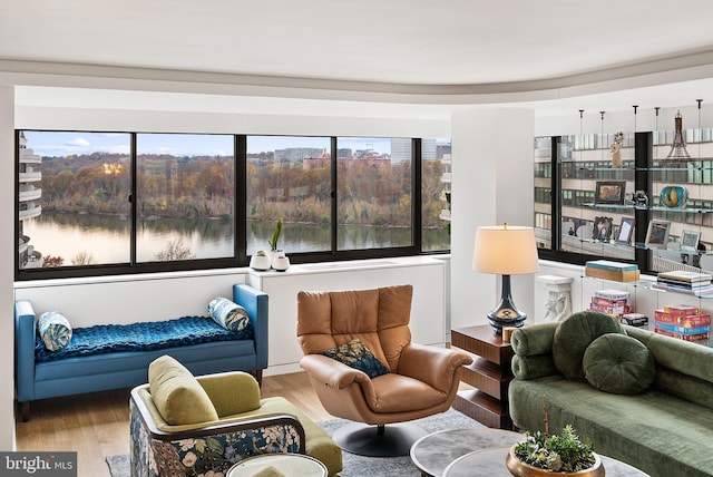 2510 Virginia Ave NW Unit 1104-N, Washington, DC 20037 - living area featuring wood finished floors