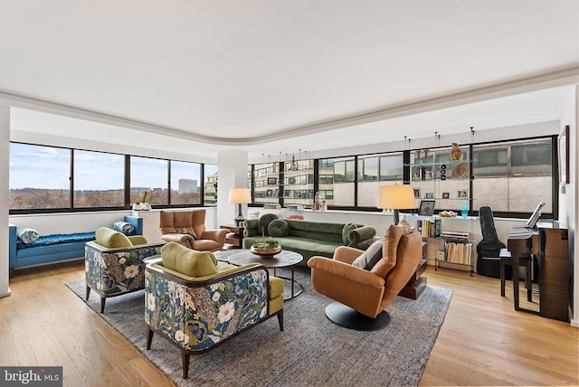 2510 Virginia Ave NW Unit 1104-N, Washington, DC 20037 - living room with light wood finished floors