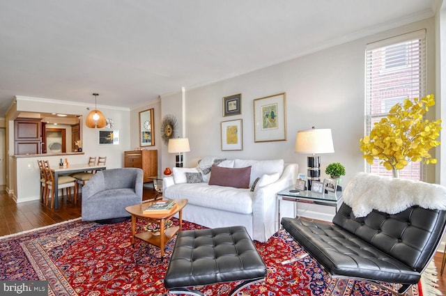 living room featuring dark wood-type flooring and ornamental molding