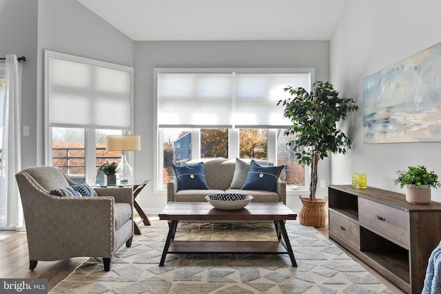 interior space featuring light hardwood / wood-style flooring and lofted ceiling