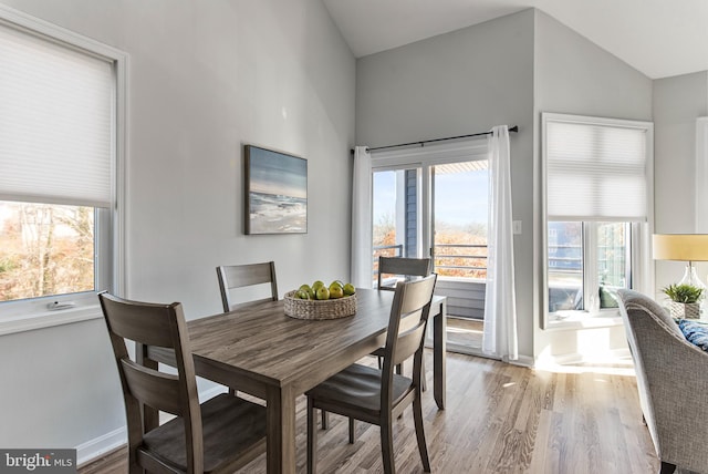 dining space featuring high vaulted ceiling, a healthy amount of sunlight, and light wood-type flooring