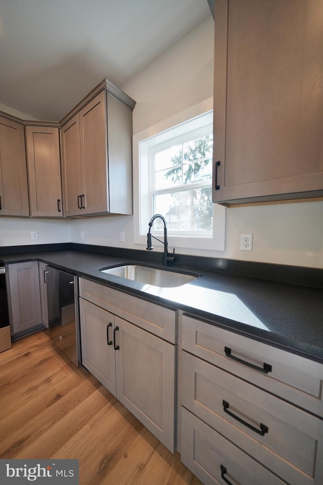 kitchen featuring dishwasher, light wood-type flooring, and sink