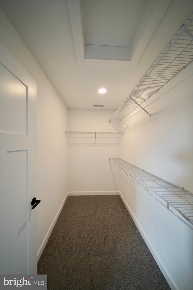 walk in closet with dark colored carpet