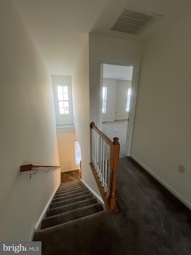 staircase with carpet flooring