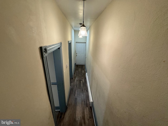 hall featuring dark wood-type flooring