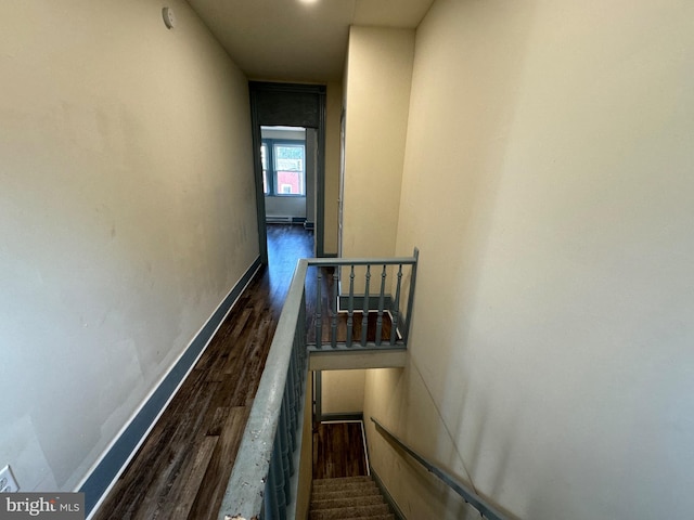 hallway featuring dark wood-type flooring