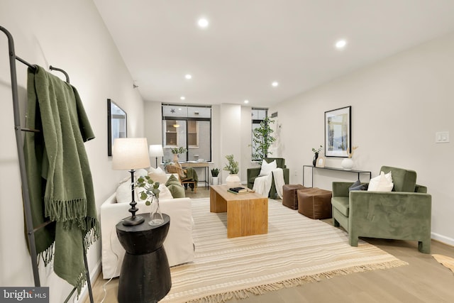 living room featuring light hardwood / wood-style floors