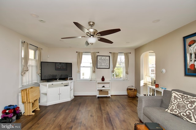 living room featuring ceiling fan, dark wood-type flooring, and radiator