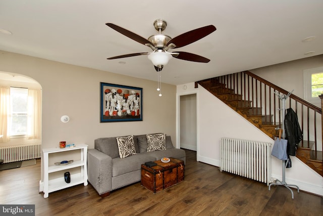 living room with radiator heating unit, ceiling fan, and dark wood-type flooring