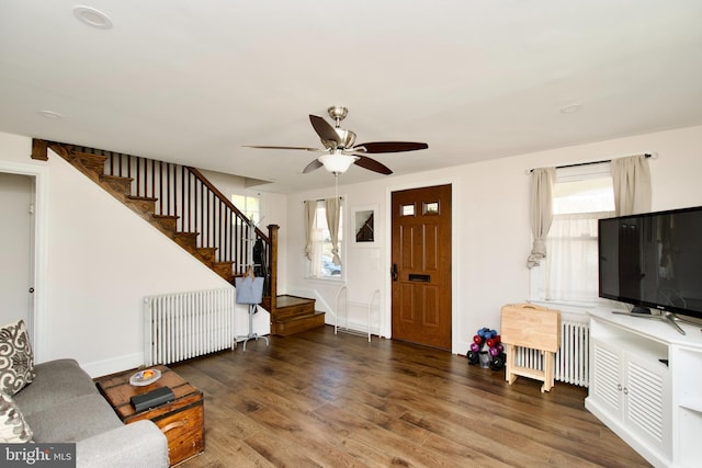 living room with ceiling fan, radiator heating unit, and dark hardwood / wood-style floors