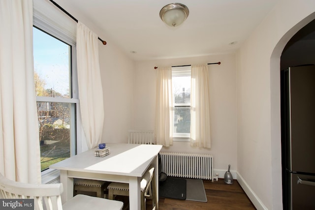 dining room featuring radiator heating unit, a wealth of natural light, and dark wood-type flooring