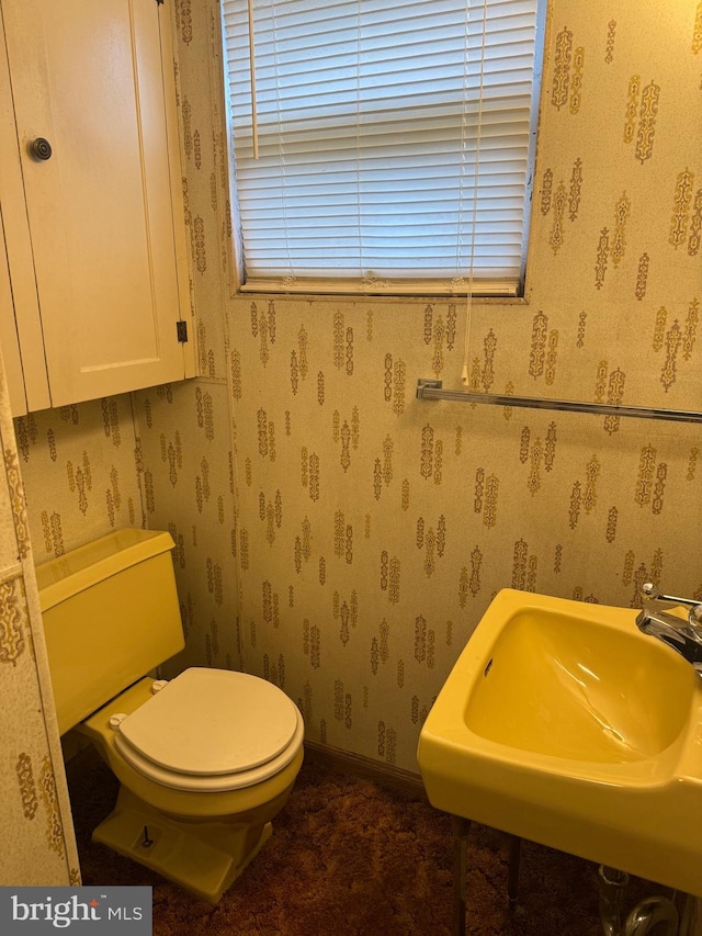 bathroom featuring sink and toilet