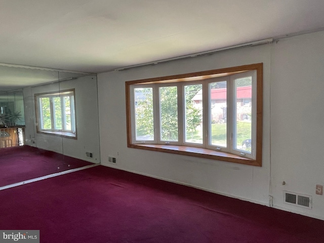 spare room with carpet and a wealth of natural light