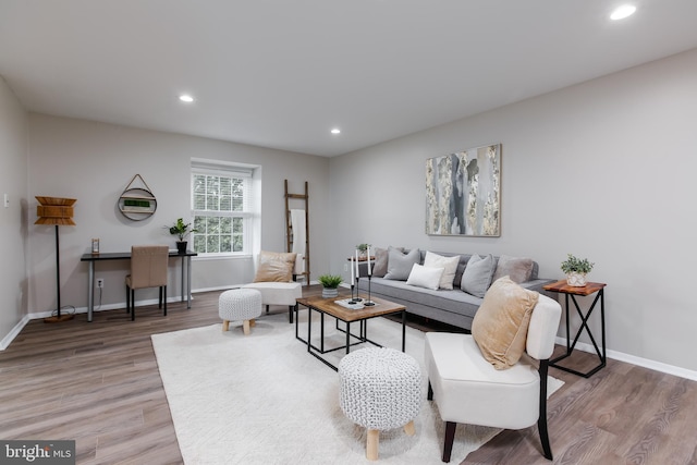 living room featuring hardwood / wood-style flooring