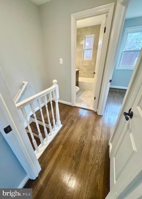 staircase featuring hardwood / wood-style flooring