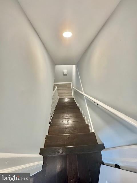 stairs with hardwood / wood-style floors