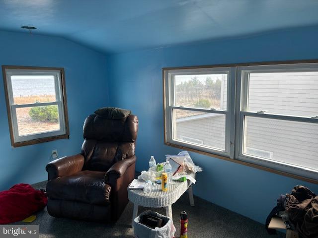 living area featuring carpet flooring and lofted ceiling