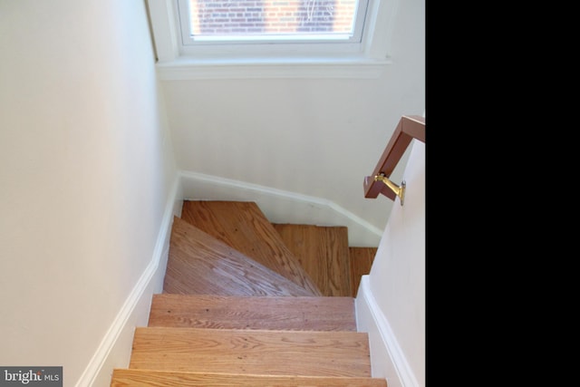 stairway featuring wood-type flooring