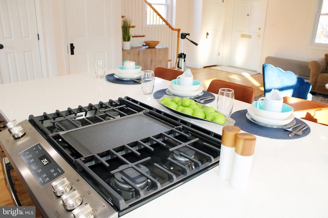 room details with stainless steel gas cooktop