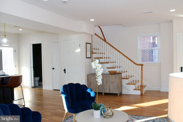 living room featuring wood-type flooring