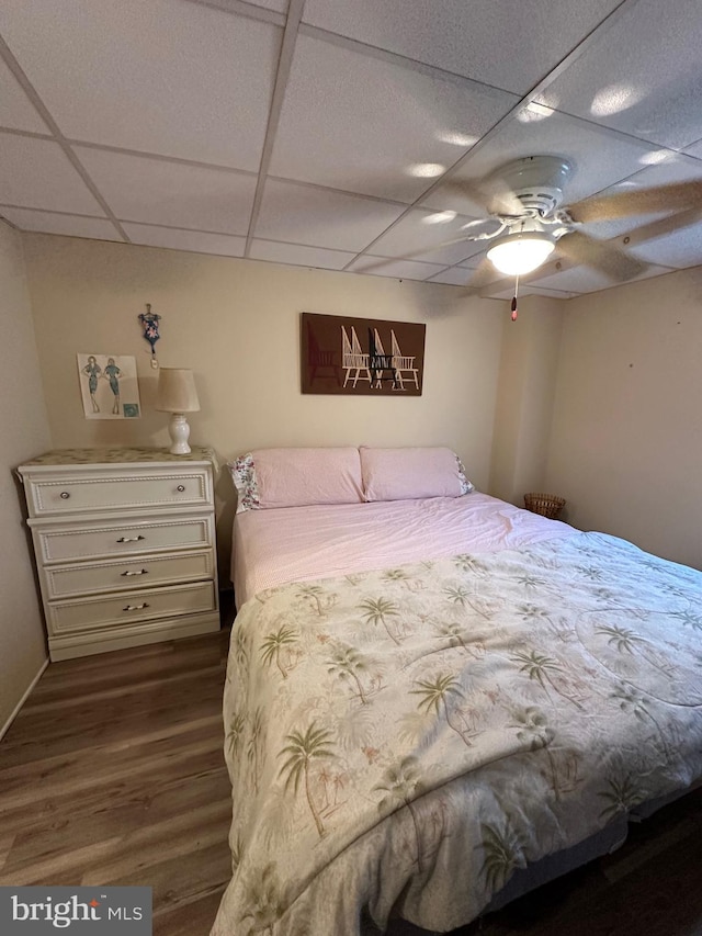 bedroom with a paneled ceiling, dark hardwood / wood-style floors, and ceiling fan