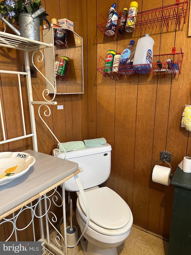 bathroom with toilet, wooden walls, and sink