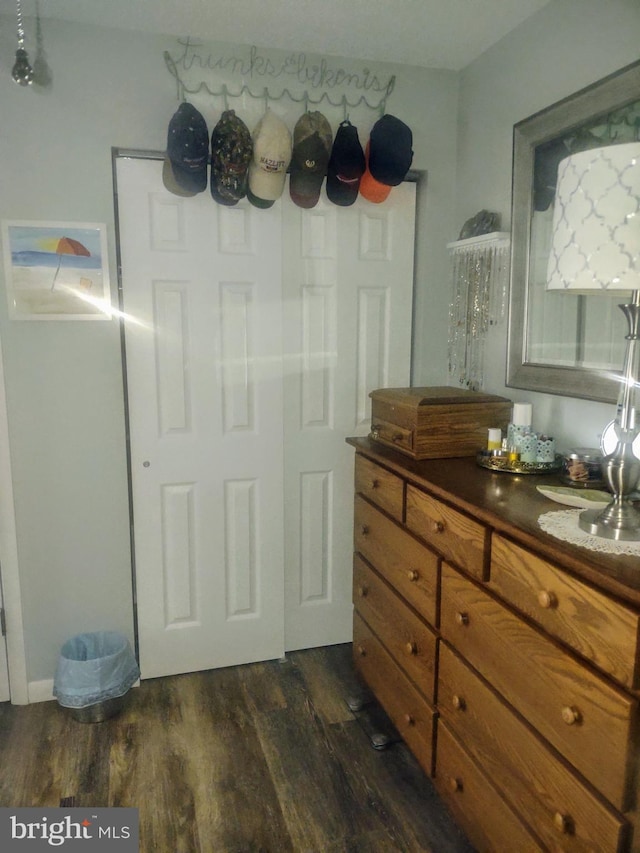 interior space featuring hardwood / wood-style floors and vanity