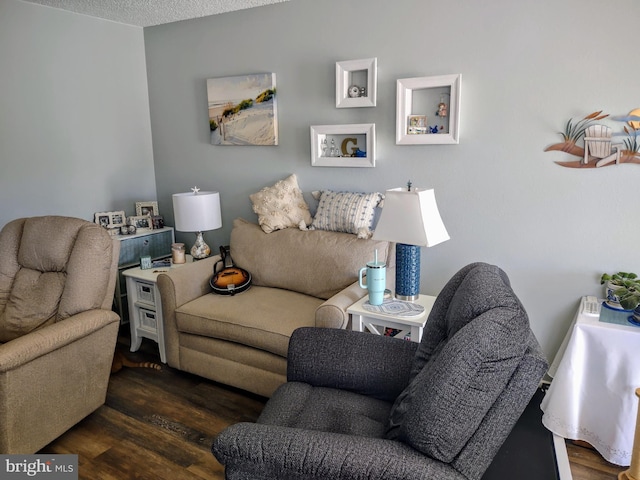 living room with dark wood-type flooring and a textured ceiling