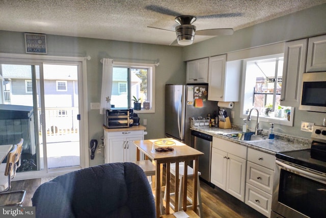 kitchen featuring dark wood-type flooring, sink, ceiling fan, white cabinetry, and stainless steel appliances