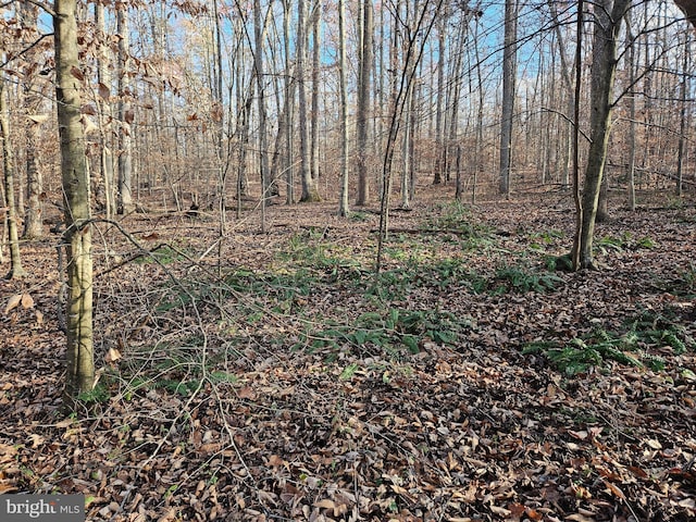 Waugh Rd, Unionville VA, 22567 land for sale