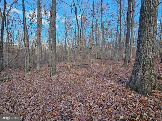 Listing photo 3 for Waugh Rd, Unionville VA 22567