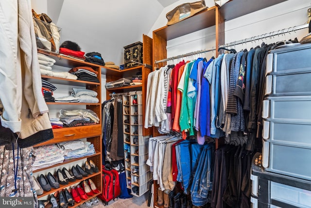 walk in closet featuring carpet flooring