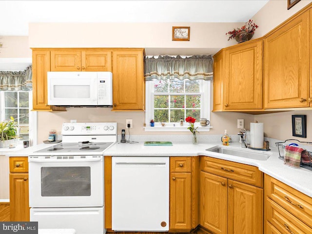 kitchen with white appliances and sink