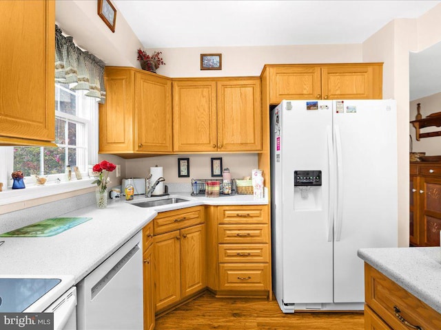 kitchen featuring hardwood / wood-style flooring, white appliances, and sink