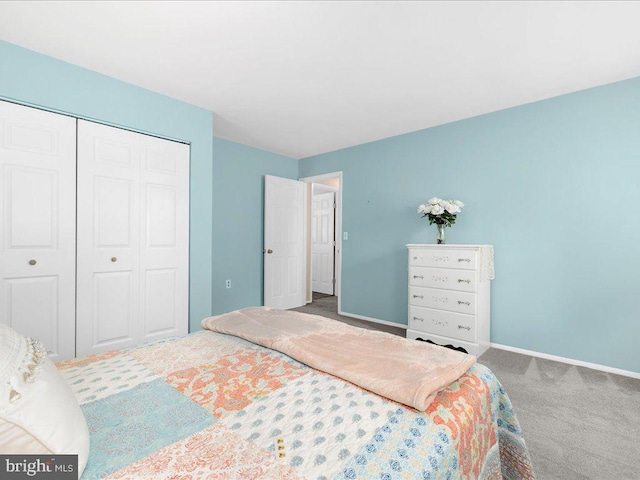 bedroom with carpet flooring and a closet