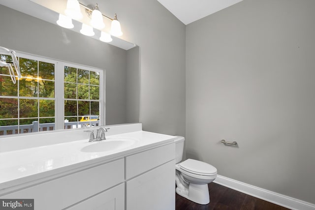 bathroom featuring vanity, toilet, and wood-type flooring