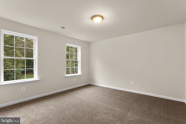 carpeted spare room with a wealth of natural light