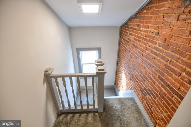 stairway featuring carpet floors