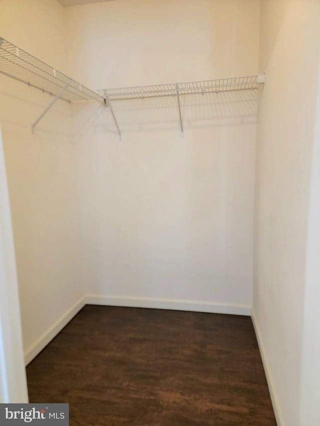 walk in closet with dark wood-type flooring