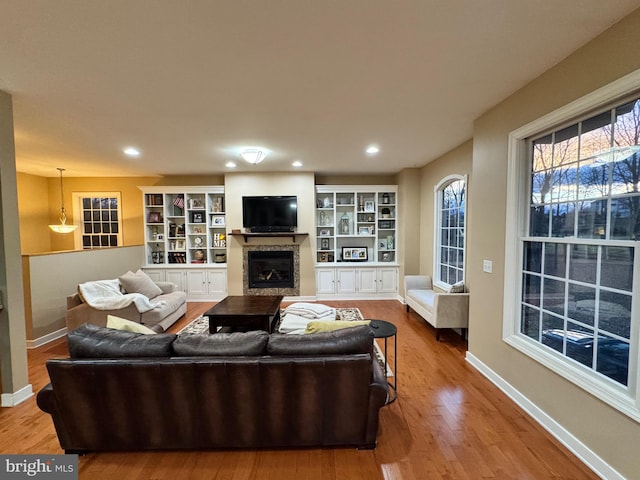 living room with wood-type flooring